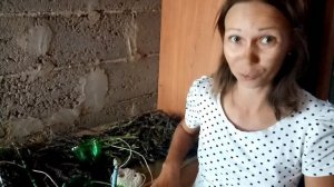 Супер веревка из пластиковых бутылок для подвязывания растений.