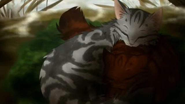 Коты-воители. Дым и Тростинка смотреть онлайн