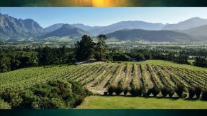 §25 "Население Африки", География 7 класс ч.1, Домогацких