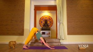 Динамичная йога волн на 25 минут