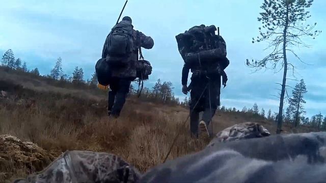 гусиная охота 2015. заход на болото. смотреть онлайн