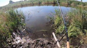 Река Тюкалка. Ловля карася