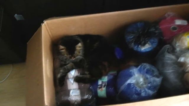 VLOG: Уборка\ Принимаю РЕМОНТ!!\Кто мешает собрать вещи и переехать?? смотреть онлайн