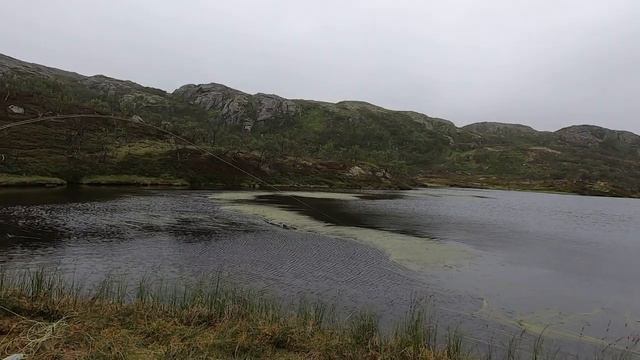 Кольский 2022 ( 1 часть ) смотреть онлайн