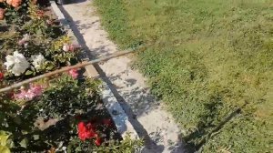 Дом на Юге, Обзор участка, Переезд, Из деревни в станицу