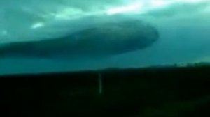 Птицы красиво летают