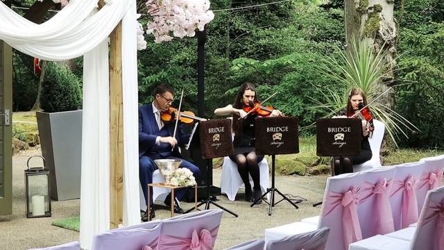 Bridge Strings - Lucky - Jason Mraz - Hogarth’s Hotel смотреть онлайн