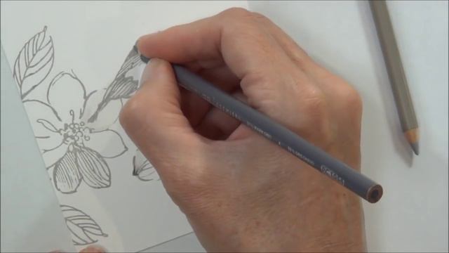 Altenew Bird Window - By Request! смотреть онлайн