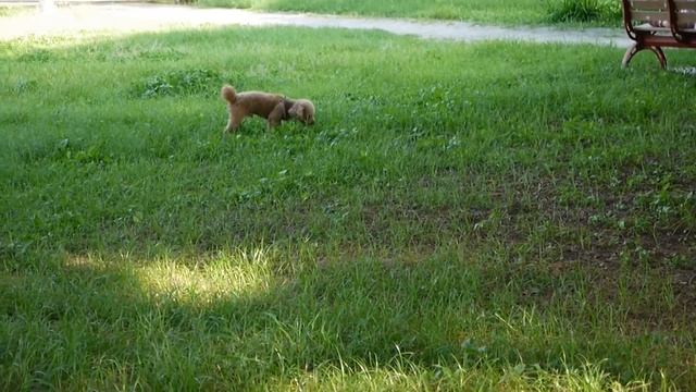 Panasonic DMC-GF5X  錄影實測 смотреть онлайн