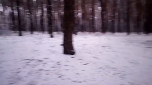 Печенеги , прогулка по зимнему лесу смотреть онлайн