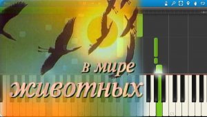 Музыка из телепередачи В Мире Животных (на пианино Synthesia).mp4