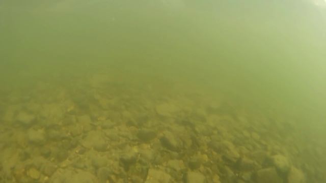 Рыбалка на Томи на щуку 2015 г смотреть онлайн