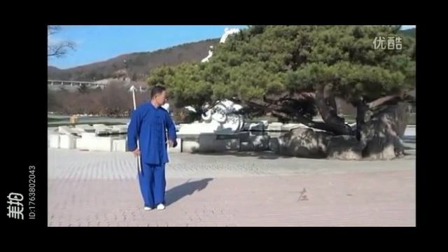 Мастер Чэнь Чжэньшэн, комплекс Толобянь. Часть 1 из 10. Замедленное.