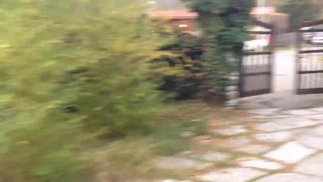 Сочи, ресторан "Плакучая ива". здесь пел песню про зайцев Никулин