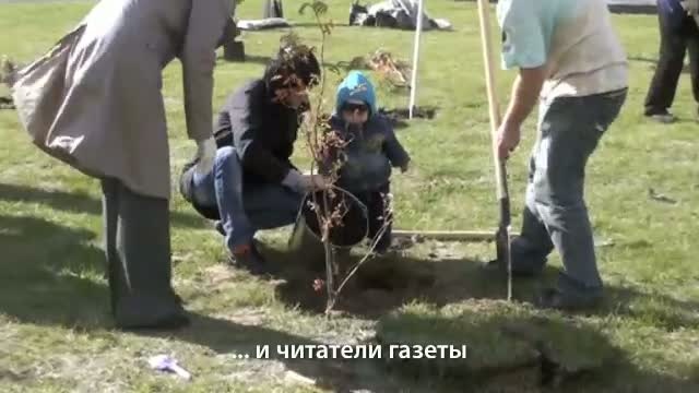 Посади свое дерево!