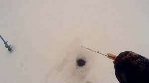 Зимние блесна на окуня" skela" , для ловли на больших глубинах .