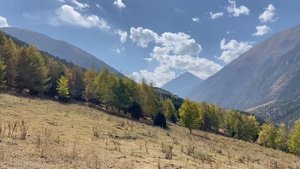 Прогулка по природному парку Ала-Арча для ленивых. Бишкек. Киргизия. Часть 2 (Ala Archa Park)