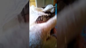 Отзыв о печке Везувий Стандарт