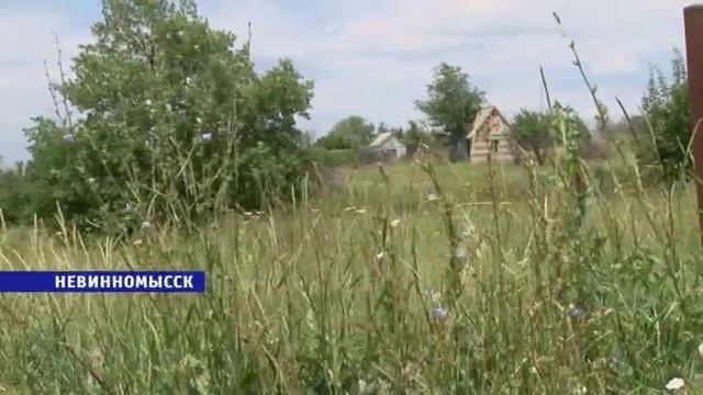 реид по нескошенной траве смотреть онлайн