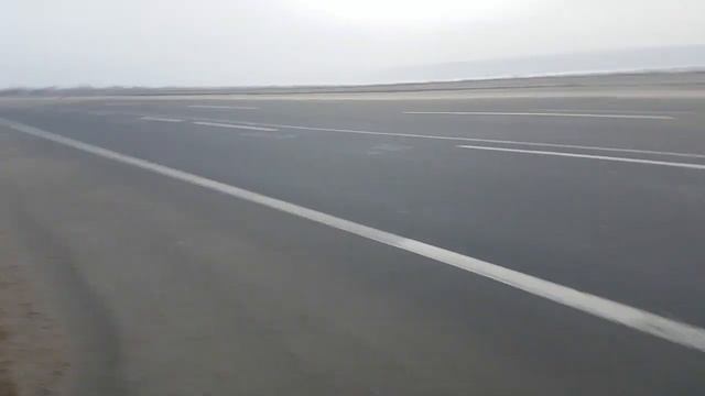 GoldStarParty #3 Сбили Волка Возле Одессы (Бедный Волк и Чёрный Ишак) смотреть онлайн