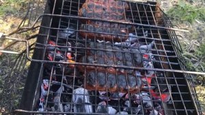 Шашлык с пивом.mp4