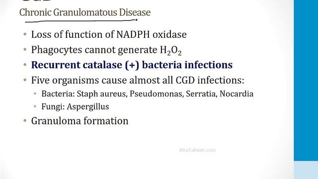 Патология USMLE - 1. Общие темы - 8.Гранулематозное воспаление