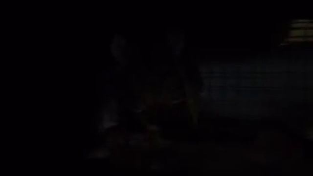 Chinchilla With a Tiny Umbrella смотреть онлайн