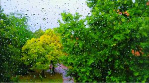 Звуки дождя и грома - Замечательные звуки, которые отлично подойдут для сна и расслабления души.