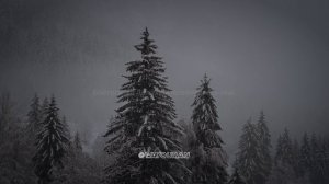 Сура_26_Ash_Shu'ara_Поэты_69_212_Ясир_Ад_Даусари