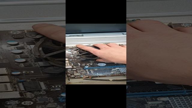 ОПА компобук.... Кто понял? Who understood?