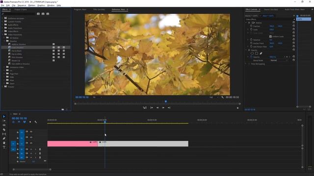 Твой первый день в Premiere Pro смотреть онлайн