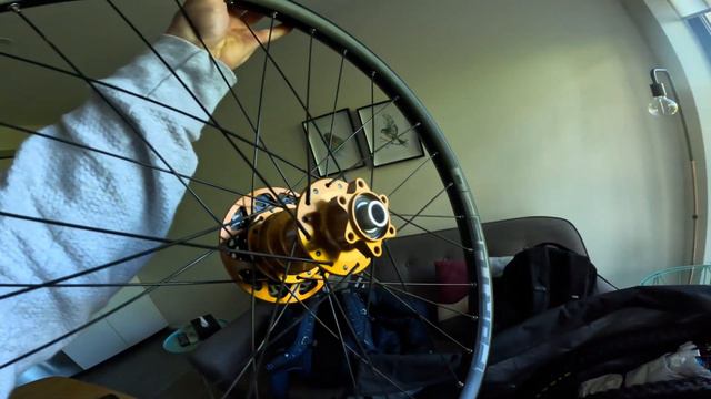 GastoVlog - Travel vlog to Hardline Tasmania ✈️ смотреть онлайн