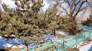 Прогулка по центру города Чолпон-Ата