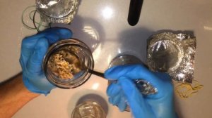 Инокуляция зерна маточным мицелием (Grain2grain tec)