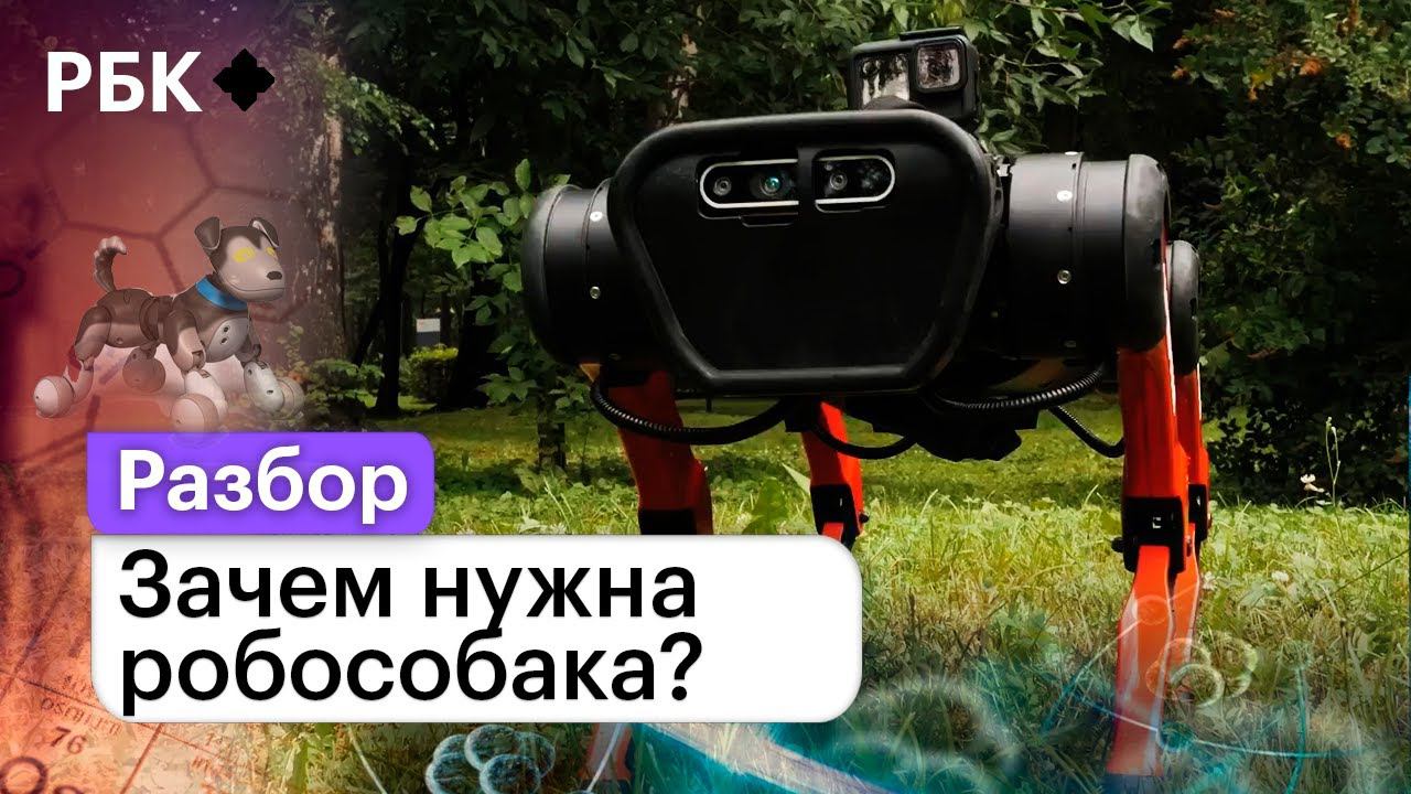 Зачем нужна робособака? Что она может, и чем лучше обычного пса?