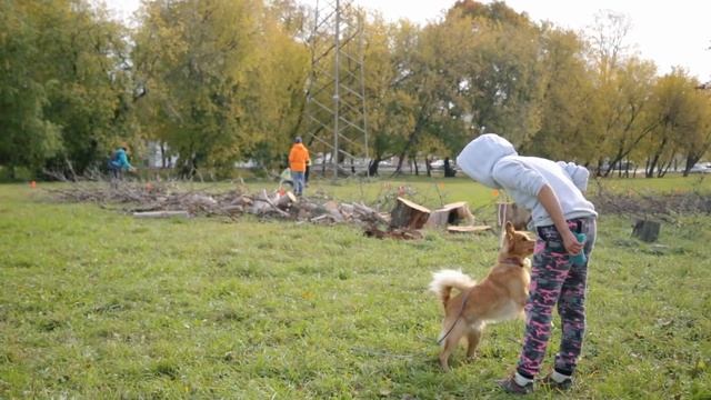Фризби Точность Осенний вальс .mp4