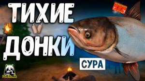 РР4/ рыбалка для души, ловим как универсал, общаемся 09.12.23