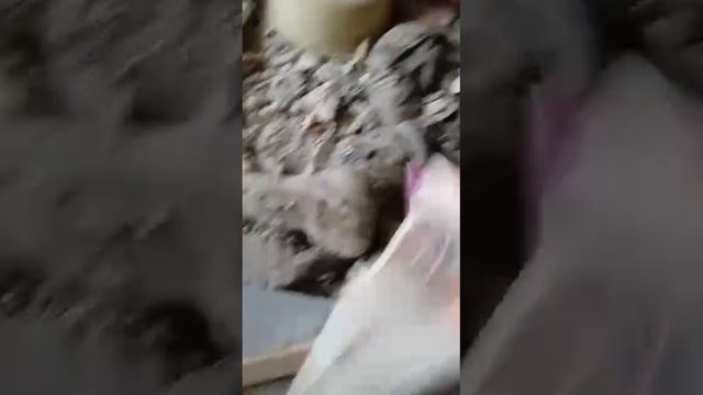 Кара настигла...
