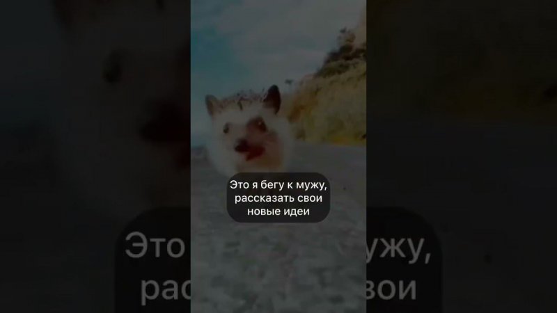 #юмор