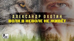 Александр Охотин - Волк в неволе не живёт (Песня 2023) #русскийшансон