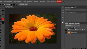 Как отделить объект с фото в Photopea