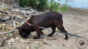 Наши пенсионеры на отдыхе ☀