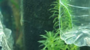 Самодельный реактор СО2