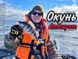 Бешеный клев окуня на Ладоге. Рыбалка в Креницах. Как поймать окуня.