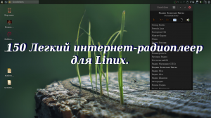 150 Легкий интернет-радиоплеер для Linux.