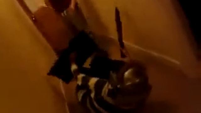 War The Roman Vs The Ninja