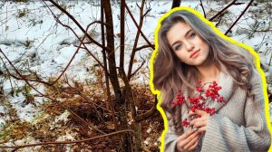 Как прививать плодовые деревья. Лучший способ прививки плодовых деревьев #28