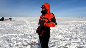 РЫБАЛКА В ТАЙГЕ. ОПАСНОЕ И ТАИНСТВЕННОЕ ОЗЕРО ТЕМРЯК. КРУПНЫЕ ОКУНИ И ЖИЗНЬ В ТАЙГЕ