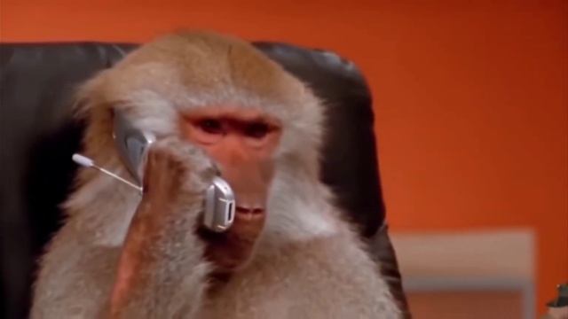 Серый это для тебя смотреть онлайн