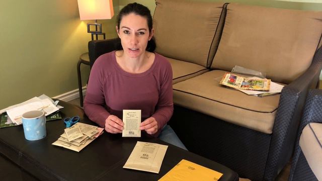 Seed / Garden Planning 2020 смотреть онлайн